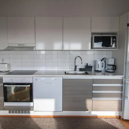 Flexi Homes Itaekeskus * Helsínquia